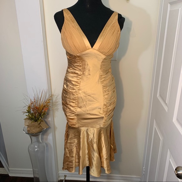 Dina Barel Soft Gold Tone Silk Flattering Dress - Picture 16 of 16